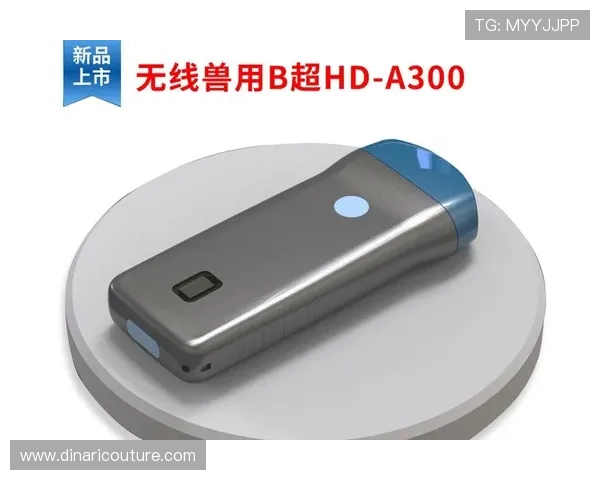 尊龙凯时平台网页版支持多设备登录，随时随地畅玩高品质游戏娱乐体验升级